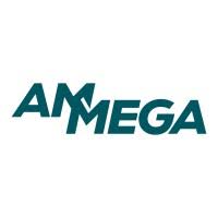 Ammega Holding Nederland BV